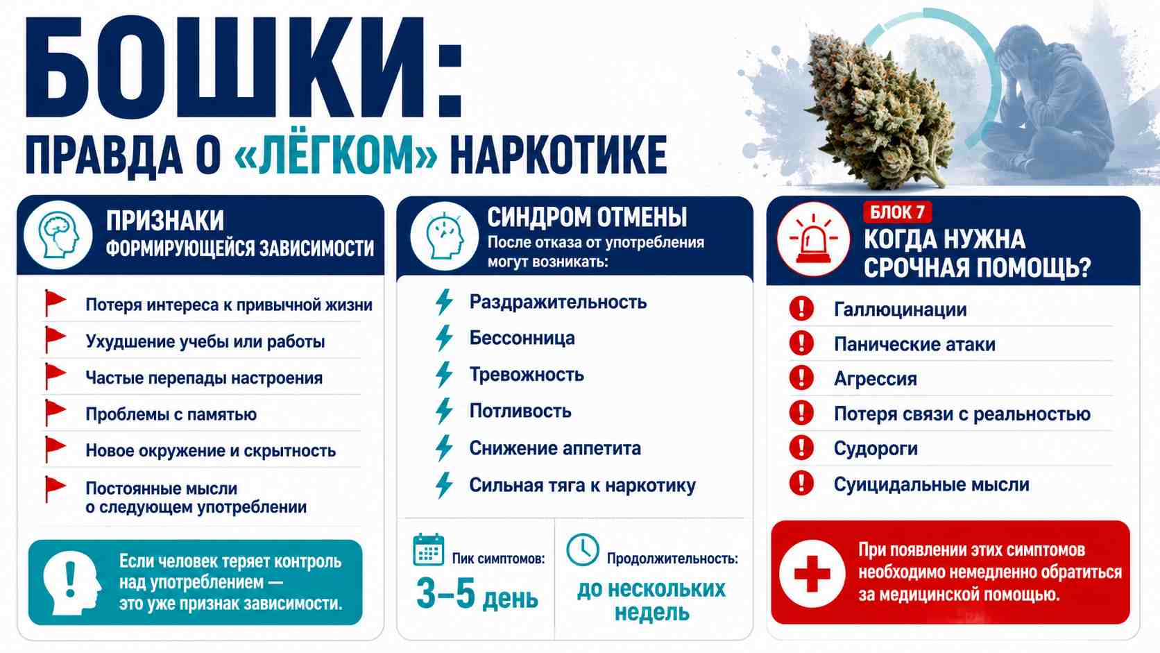 Инфографика о марихуане под названием Бошки