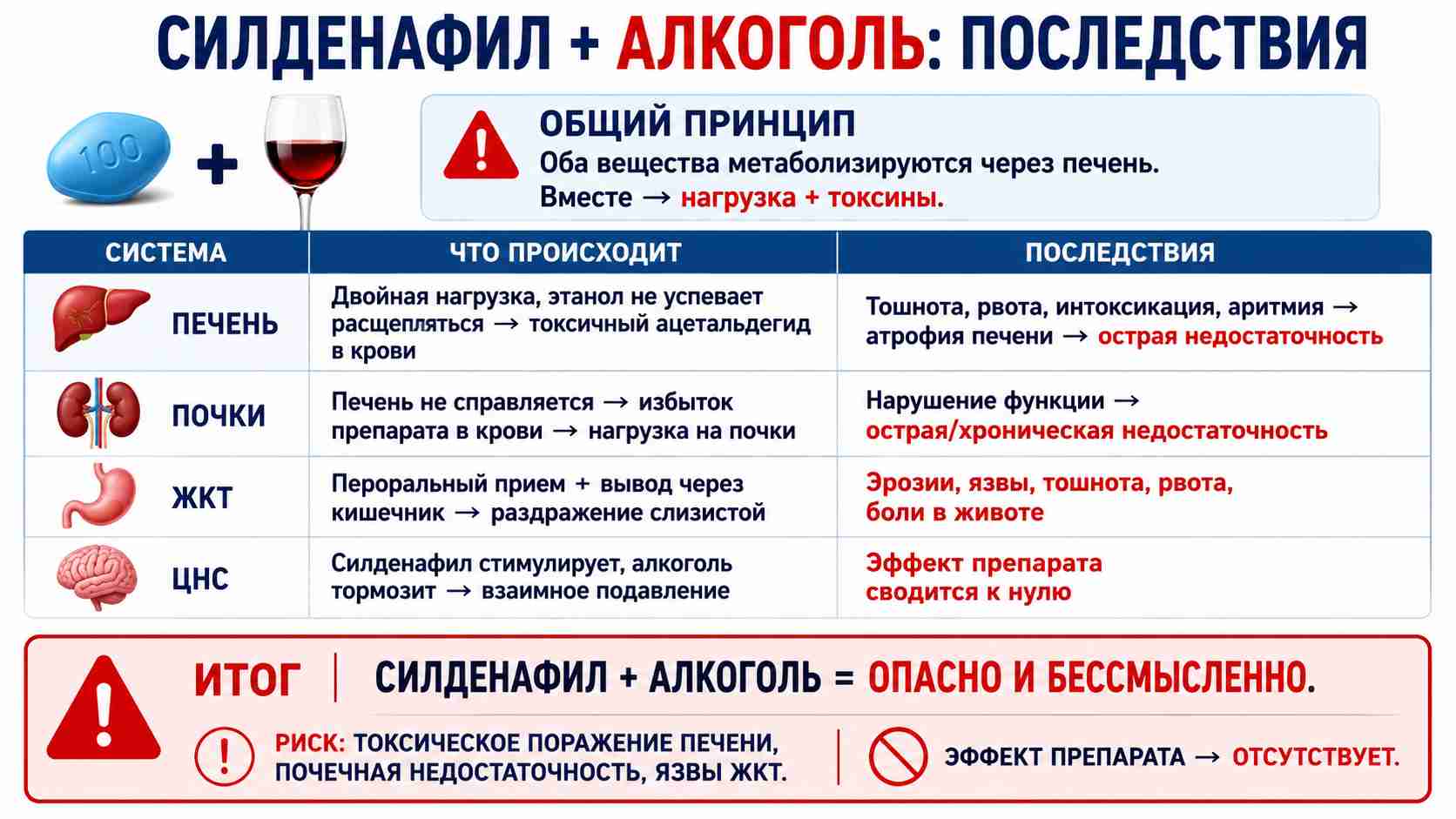 Инфографика о несовместимости Силденафила и алкоголя